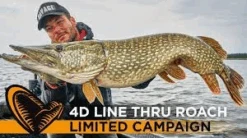 Savage Gear 4D Linethru Roach 25cm 216g Sinking - Firetiger 9 Savage Gear 4D Linethru Roach 25cm 216g Sinking - Firetiger -Savage Gear 52256 4