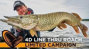 Savage Gear 4D Linethru Roach 25cm 216g Sinking - Firetiger 5 Savage Gear 4D Linethru Roach 25cm 216g Sinking - Firetiger - Image 5