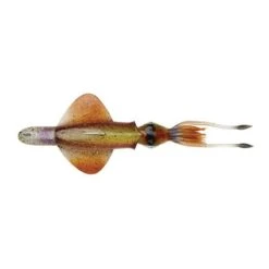 LEURRE SOUPLE ARMÉ SAVAGE GEAR SWIM SQUID RTF - 25CM