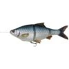 PRE-RIGGED SOFT LURE SAVAGE GEAR 4D LINE THRU ROACH 25CM