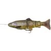 PRE-RIGGED SOFT LURE SAVAGE GEAR 4D LINE THRU TROUT - 25CM