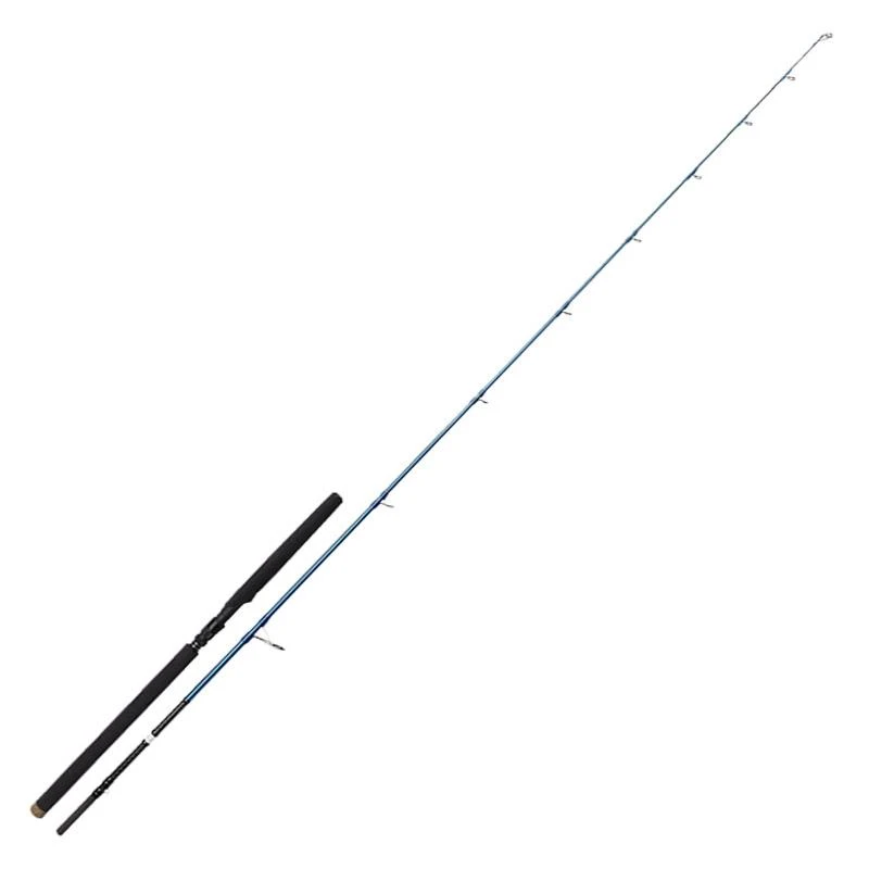 SPINNING ROD SAVAGE GEAR SGS2 OFFSHORE PLUG 1 SPINNING ROD SAVAGE GEAR SGS2 OFFSHORE PLUG